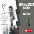 عکس آهنگ جدید محمدرضا شکری به نام عصر سرد | Mohamadreza Shokri - Asre Sard
