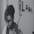 عکس ویولن ایرانی (ارشه پرانی) - violin