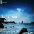 عکس موزیک ویدئو فوق العاده زیبا وجذاب Bury my heart اثری از Peter Gundry