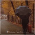 عکس اهنگ عالی مرتضی پاشایی/اهنگ جدید عاشقانه