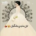 عکس آهنگ عروسی عربی