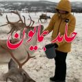 عکس #کلیپ زیبای عاشقانهآهنگ حامدهمایون