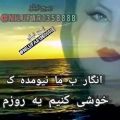 عکس تکست ویدیو عاشقانه - مهره ی مار چشات عالمی داره چشات