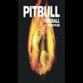 عکس Pitbull - Fireball ft. John Ryan