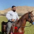 عکس هادی چوپان اسب سواری میکنه