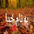 عکس شب یلدا کل آرزوها تقسیم میکنم باتو