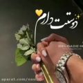 عکس کلیپ زیبا عاشقانه