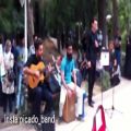 عکس گروه موسیقی * پیکادو* اجرا در پارک قیطریه