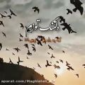 عکس حجت اشرف زاده