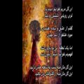 عکس رضا بهرام - گل مریم Reza Bahram - Gole Maryam