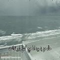 عکس ساحل حمید هیراد با صدای ایلیا نیرومند