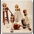 عکس امیرامیرحسینی نوازنده سازهای کوبه ای