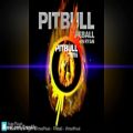 عکس Pitbull Fire Ball Music Equalizer اکولایزر آهنگ خارجی