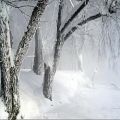 عکس زمستان ! شعر و موسیقی از آنتونیو ویوالدی