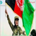 عکس قطغنی دمبوره امردین قندوزی Qataghani dambora - Amrudin Kondozi Afghan Media