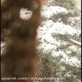 عکس #کلیپ زیبای بارش برف/باآهنگ زیبا