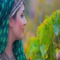 عکس کلیپ عاشقانه افغانی / دمبوره جدید و بسیار زیبای افغانی