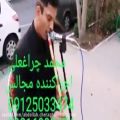 عکس تک نوازی بهشت زهرا