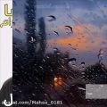 عکس تیکه دیگه ای از آهنگ زیبای گل مریم...