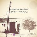 عکس کلیپ شعر بسیار زیبای کاظم بهمنی تیر برق چوبی با گویندگی هنگامه شعبانی