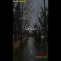 عکس کلیپ عاشقانه / محسن چاووشی دوس دارم نگات کنم تا ک بی حال بشم تو از دل ببری...