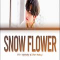 عکس لیریکس آهنگ snow flower از taehyung