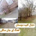 عکس ای جان ساقی