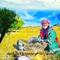 عکس آهنگ محلی پدر / پدر تو سختیا مانند کوهه