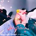 عکس کلیپ عاشقانه: چه روز باحالی...عاشقانه