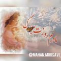 عکس کلیپ مادرم روزت مبارک / کلیپ عاشقانه مادر / کلیپ عاشقانه برای استوری