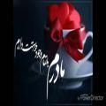 عکس دکلمه افغانی زیبا روز مادر Zaker Roeed_ Mothers day