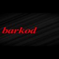عکس موزیک ویدیو آهنگ شرمنده از barkod. AM