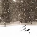عکس کلیپ زیبای برف بارونآهنگ عاشقانه