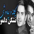 عکس محسن یگانه نشکن دلمو اجرا با ارگ