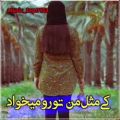 عکس کلیپ غمگین عاشقانه برای استوری / پشت پا زدی به عشقت / کلیپ جدید