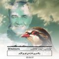 عکس موسیقی بختیاری / مسعود بختیاری