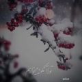 عکس استوری زمستانی زیبا