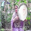 عکس دف نوازی آهنگ آهای عروسک میثم ابراهیمی - آهنگ عاشقانه - موسیقی سنتی ایرانی