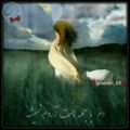 عکس آهنگ بسیار زیبای غمگین از مجید خراطها