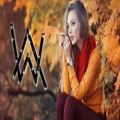 عکس آلن واکر - احساس (Alan Walker - Emotion)