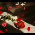 عکس دلنوشته غمگین / تنها کسی که دلت را نخواهذ شکت همان کسی است که . . .