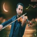 عکس violon violin violinist aref Rostami david garret hilary han hayedeh homeira moe