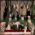 عکس شروه خوانی قطعه «لای لای» توسط خانم خواجه در سیمای بوشهر