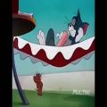 عکس انیمیشن - تام و جری
