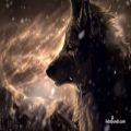 عکس موسیقی زیبای گرگ و ماه