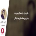 عکس آهنگ این بود زندگی محسن چاوشی