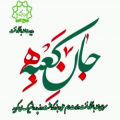 عکس موسیقی میلاد امام علی