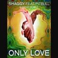 عکس آهنگ جدید Only Love ........ Pitbull ft Shaggy