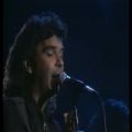 عکس کنسرت El Camino از گروه Gipsy Kings