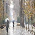 عکس اهنگ وای باران باران